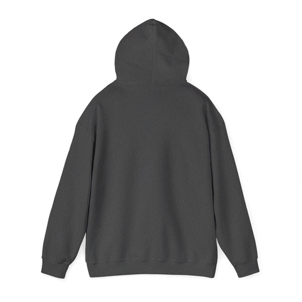 Energy Protected Hoodie — Minimalist Spiritual Protection Pullover